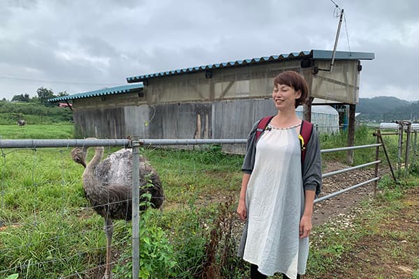 フォトギャラリー