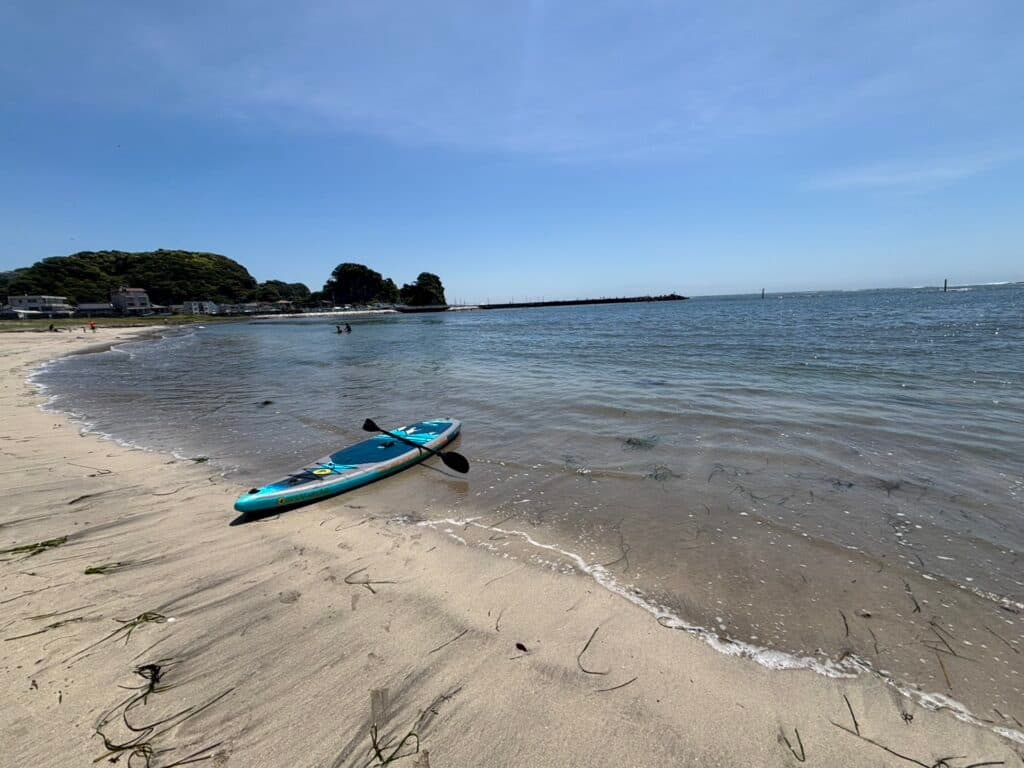 フォトギャラリー