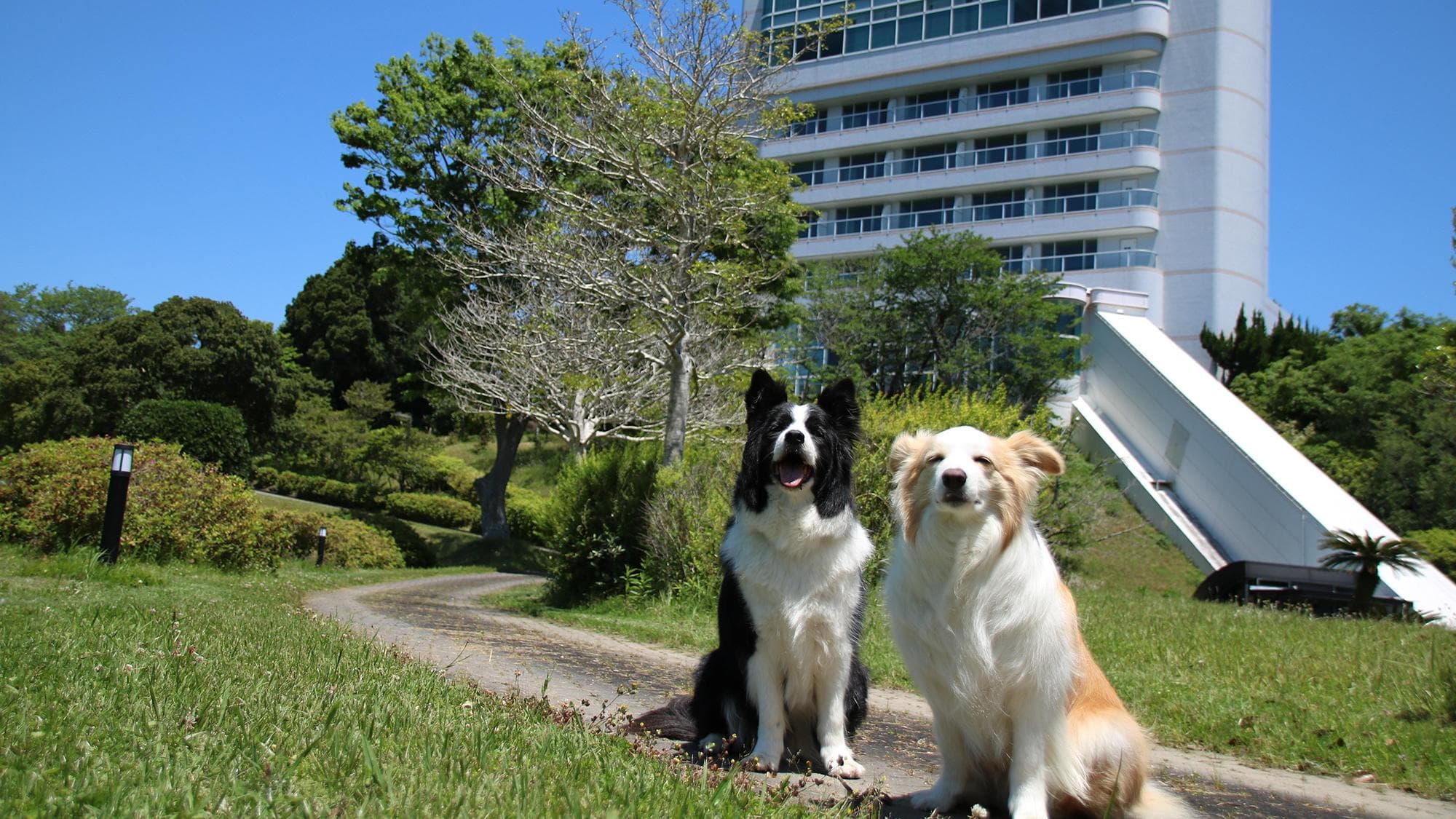 わんわんパラダイス　プレミア　南紀白浜（旧：南紀白浜わんわんパラダイス）