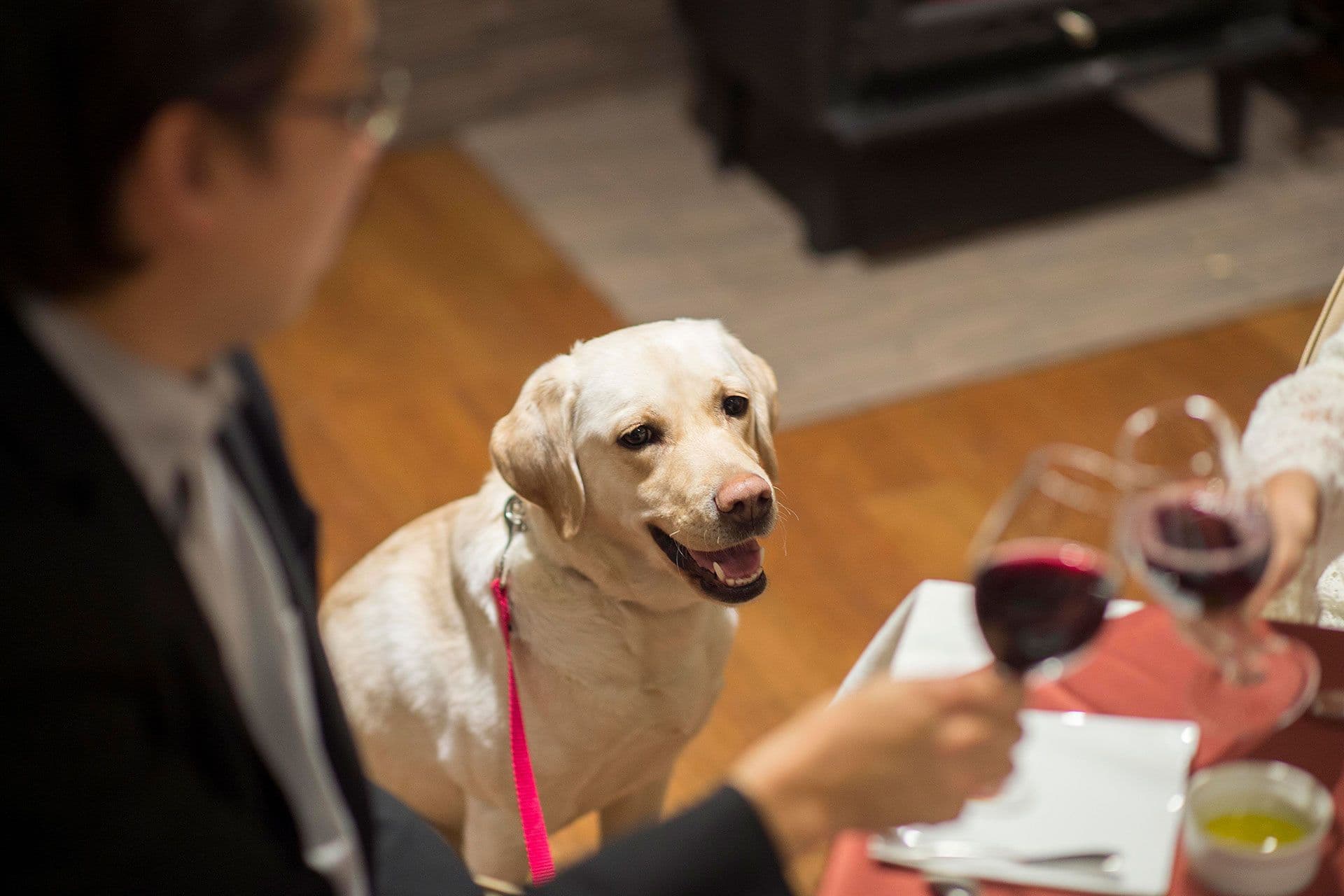 フォトギャラリー