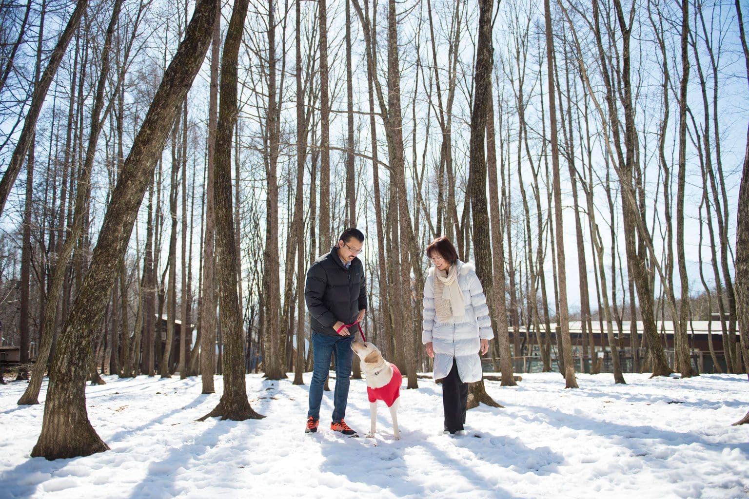 フォトギャラリー