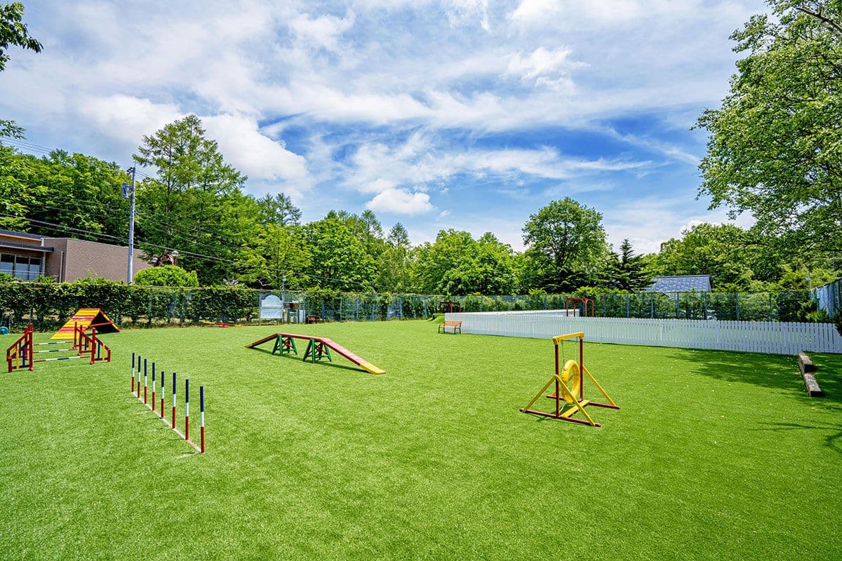 フォトギャラリー