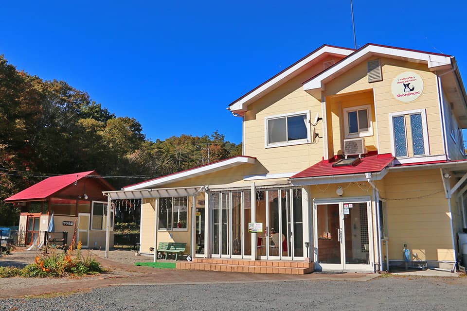 フォトギャラリー