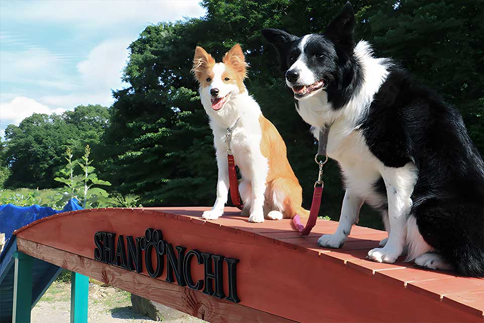 フォトギャラリー