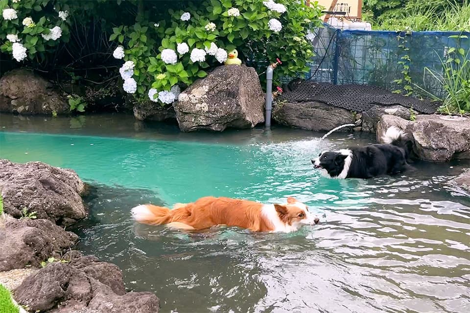 フォトギャラリー