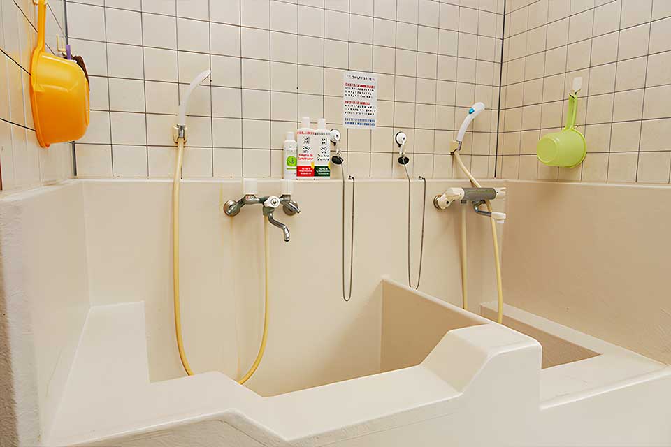 フォトギャラリー