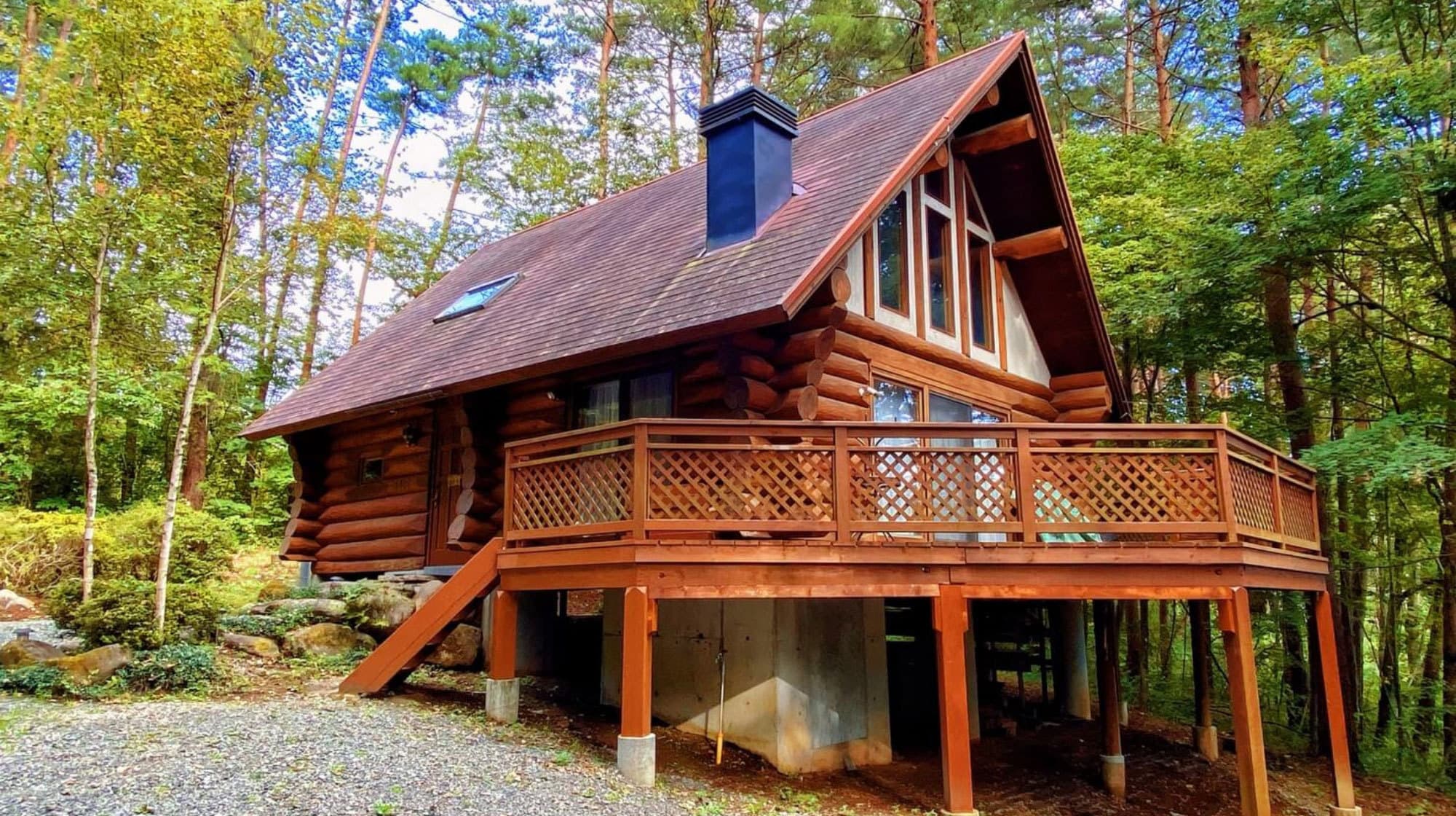 フォトギャラリー