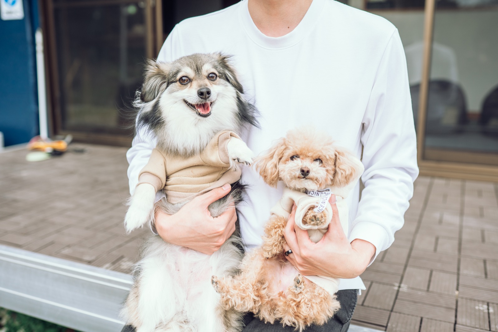 わんだふるらいふのトップイメージ 6